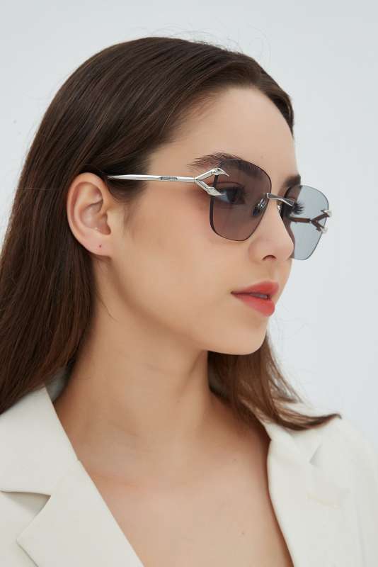 Picture of Roberto Cavalli Sunglasses _SKUfw55481726fw